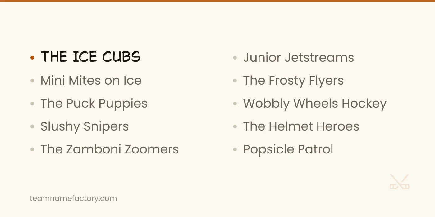 Funny Hockey Team Names for Kids — funny hockey team names ideas from teamnamefactory.com
