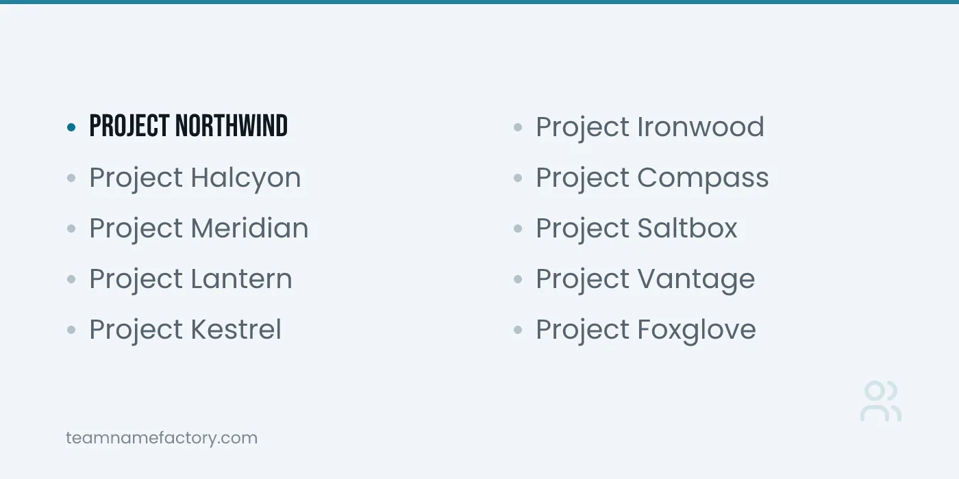 Cool Project Names for Internal Codenames — project name ideas from teamnamefactory.com
