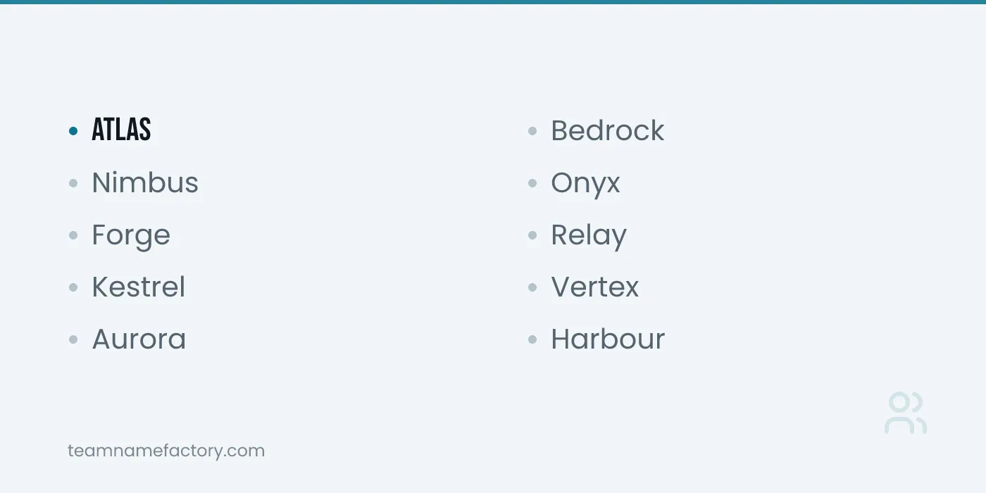 Project Names for Software and App Builds — project name ideas from teamnamefactory.com