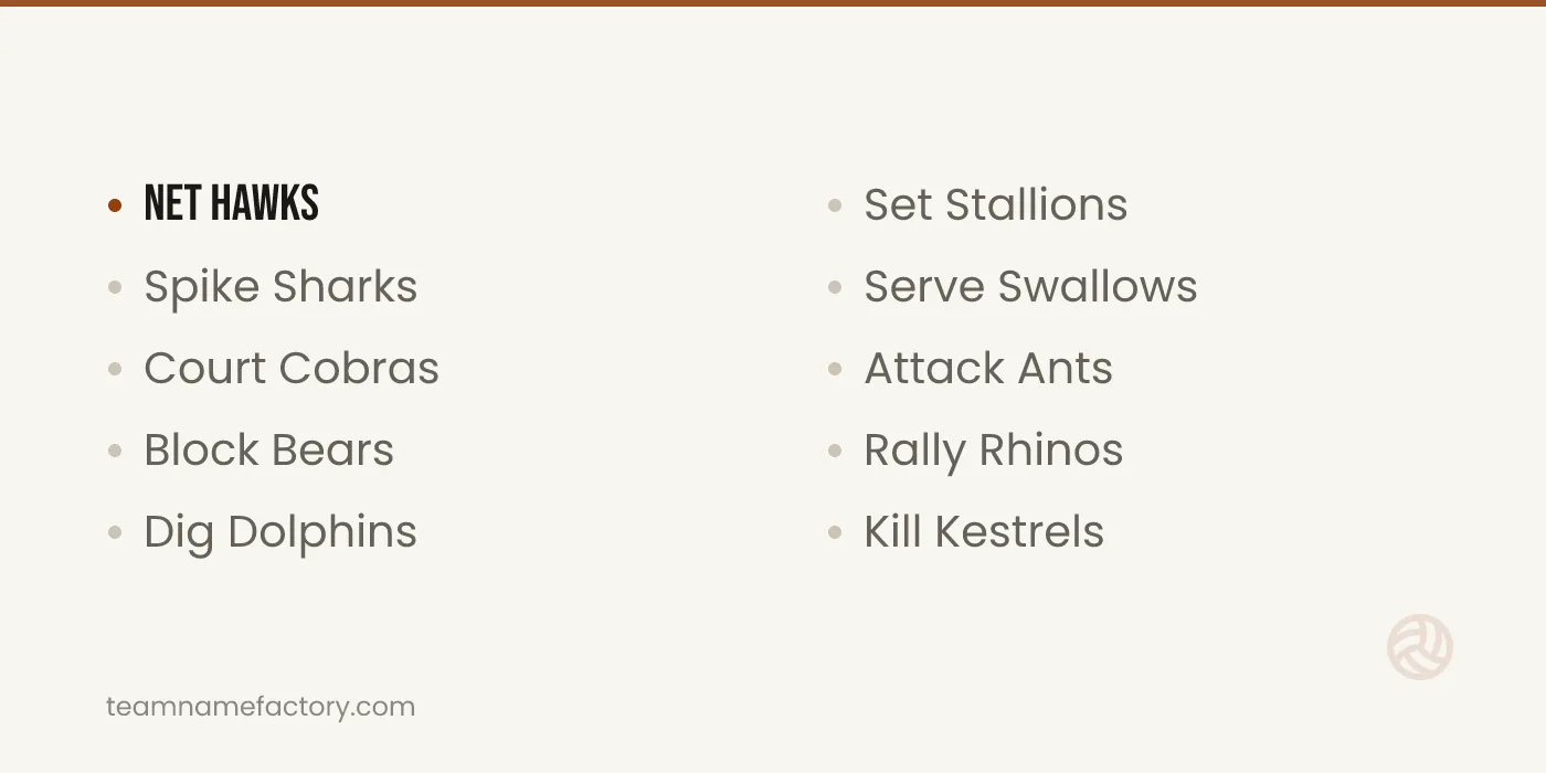 Volleyball Team Names With Animals — volleyball team names ideas from teamnamefactory.com