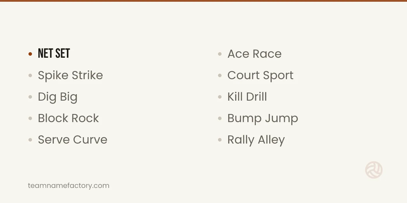 Volleyball Team Names That Rhyme — volleyball team names ideas from teamnamefactory.com